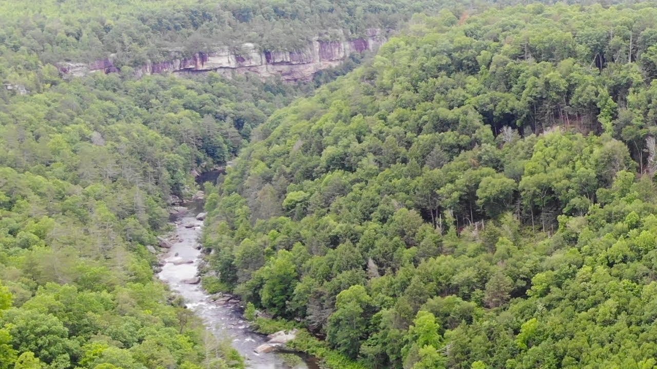 Drone Footage of Rainforests (Relaxing)